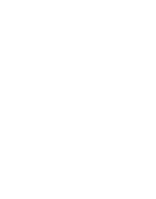 curtisLogo