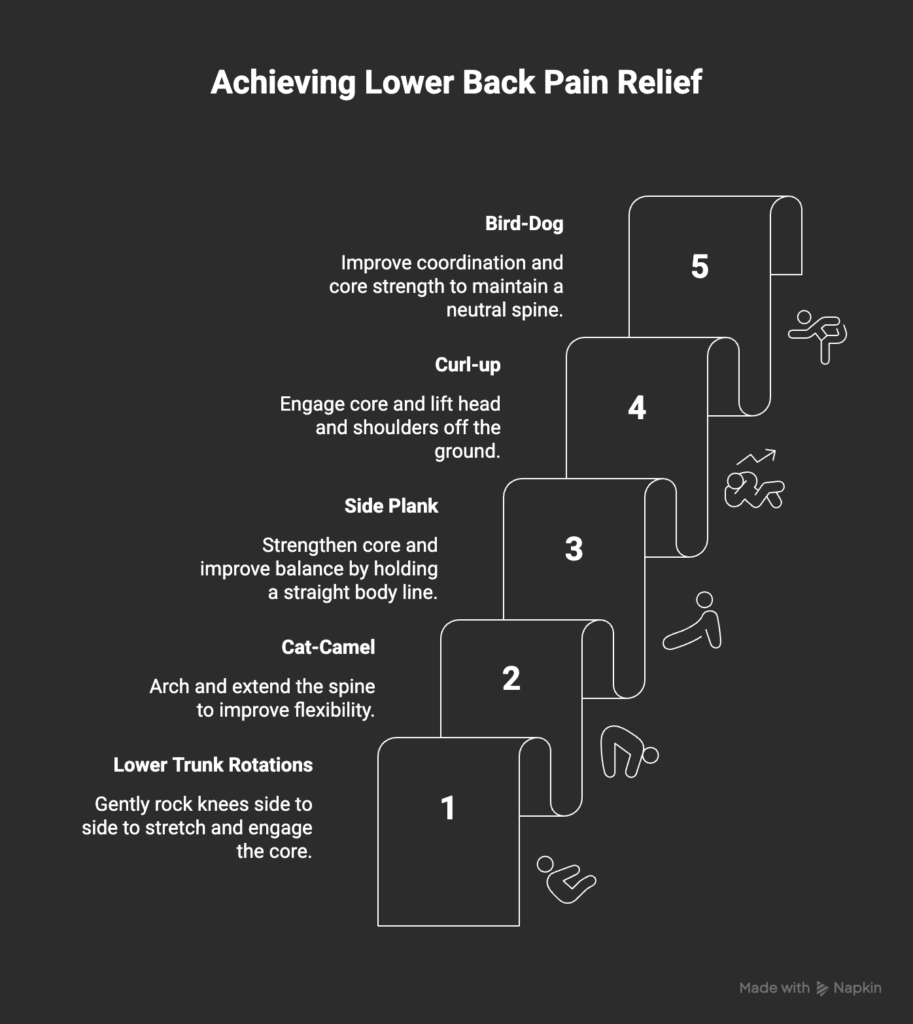 5 Exercises for Lower Back Pain - visual selection